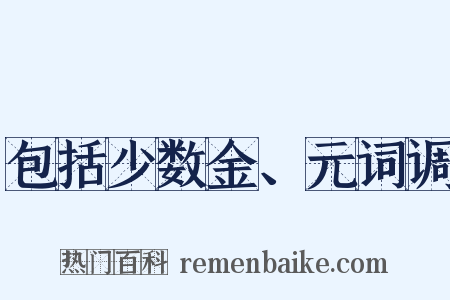 包括少数金、元词调是什么意思的图片